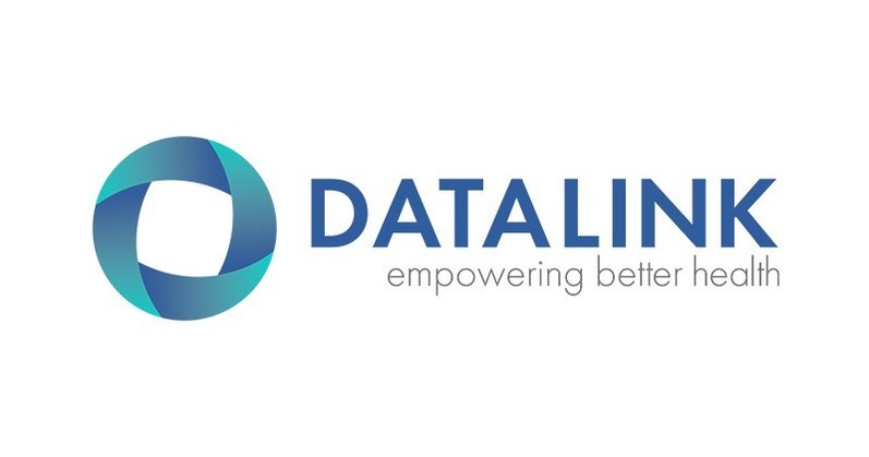 DataLink Software Logo